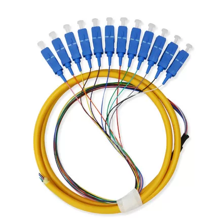 12 Fibers Bundle SC/APC SM Fiber Pigtail